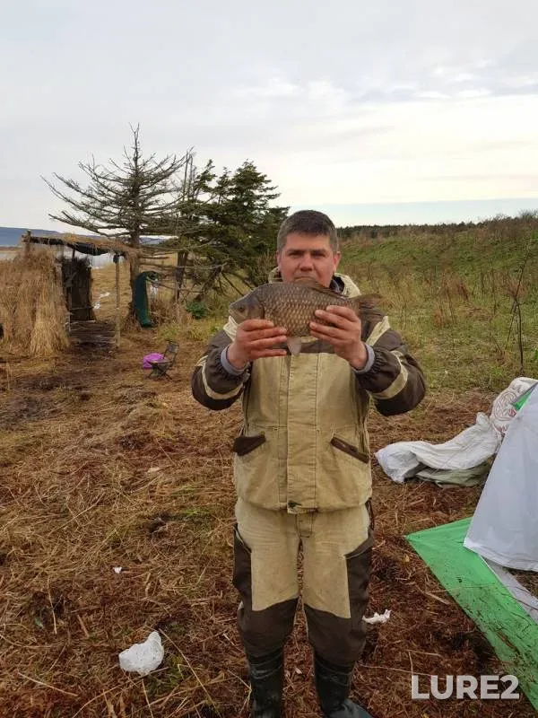 Crucian carp — Arakul, May 19, 2018