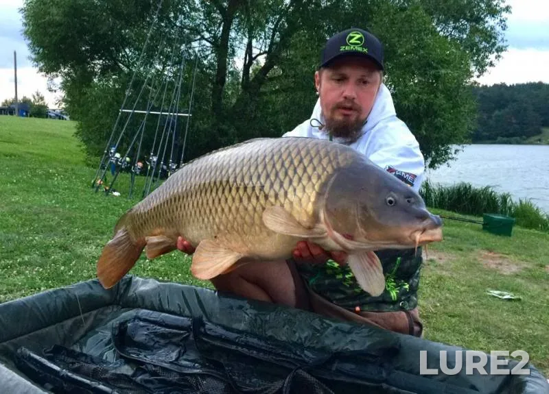 Carp — Vladimirskaya oblast, Jul 18, 2018