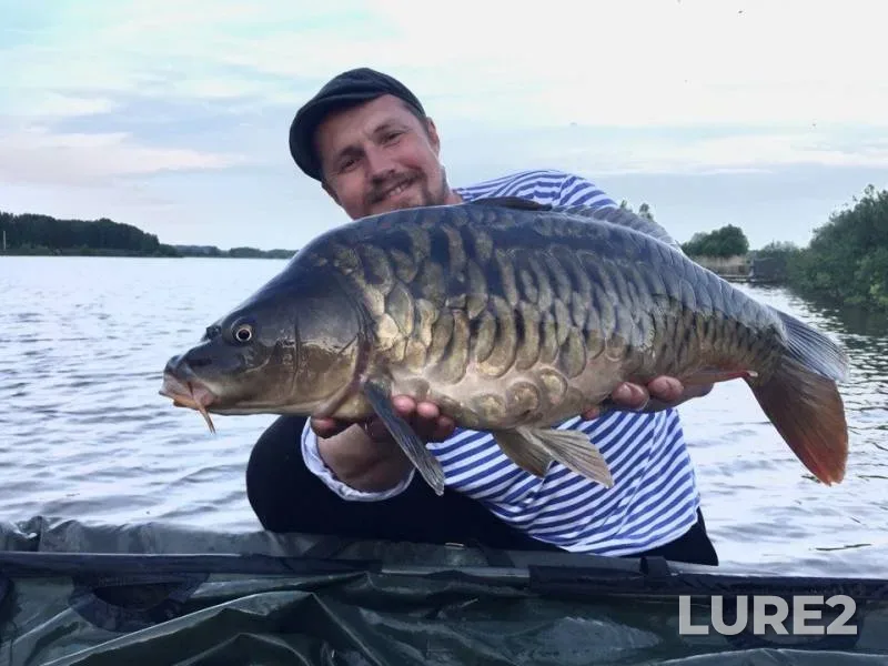 Carp — Raka, May 24, 2018