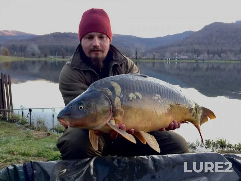 Carp — Mzymta, Dec 15, 2017
