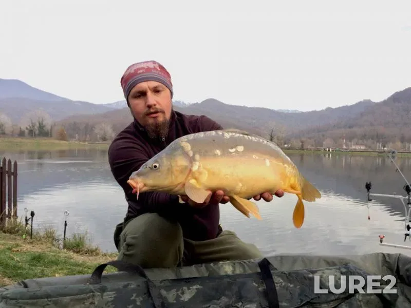 Carp — Mzymta, Dec 14, 2017