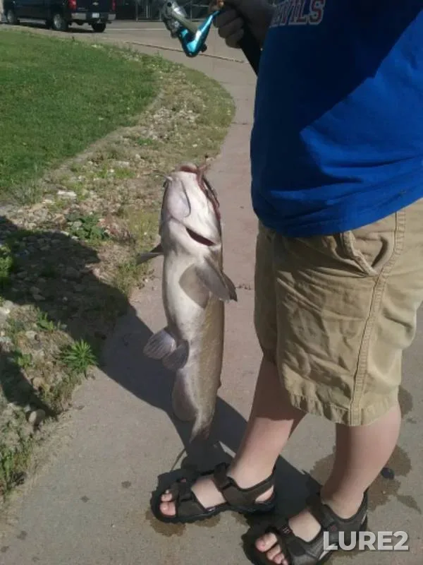 Channel catfish — Duck Creek, Jun 09, 2018