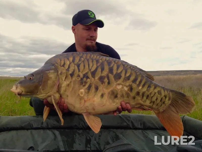 Carp — Razliv, Apr 14, 2017