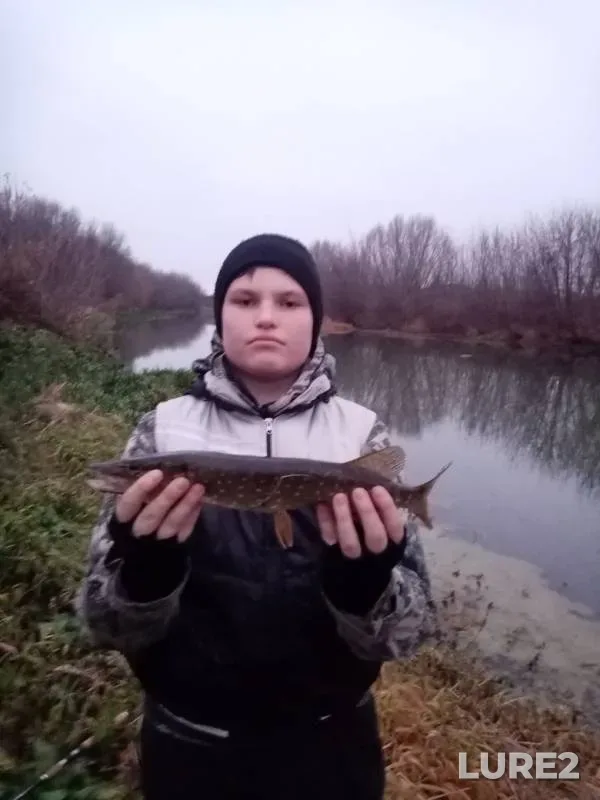 Pike — Vozha, Nov 09, 2019