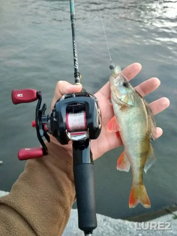 Perch — Moskva, Jul 15, 2019