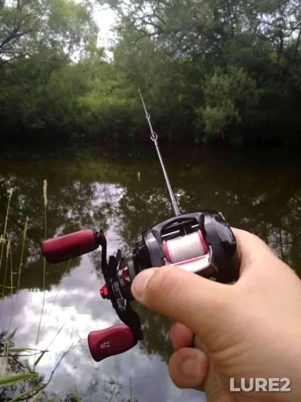 Perch — Rozhayka, Jul 07, 2019