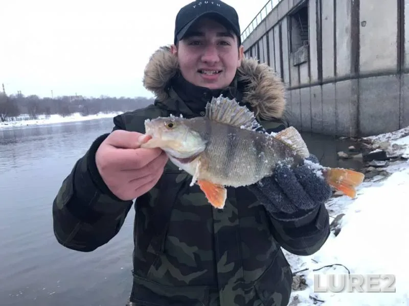 Perch — Moskva, Jan 21, 2019