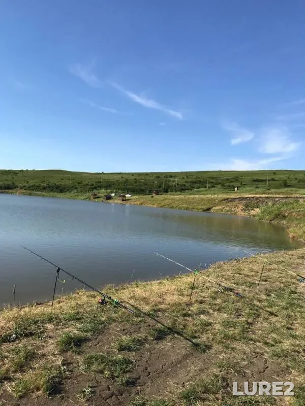 Carp, Crucian carp — Stavropolskiy kray, Jun 14, 2018