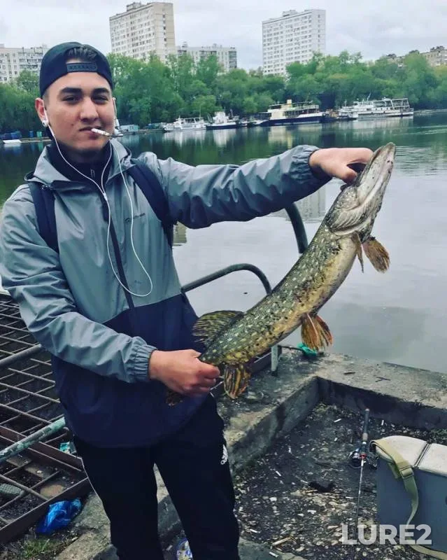 Pike — Yuzhnyy peretochnyy kollektor, May 05, 2019