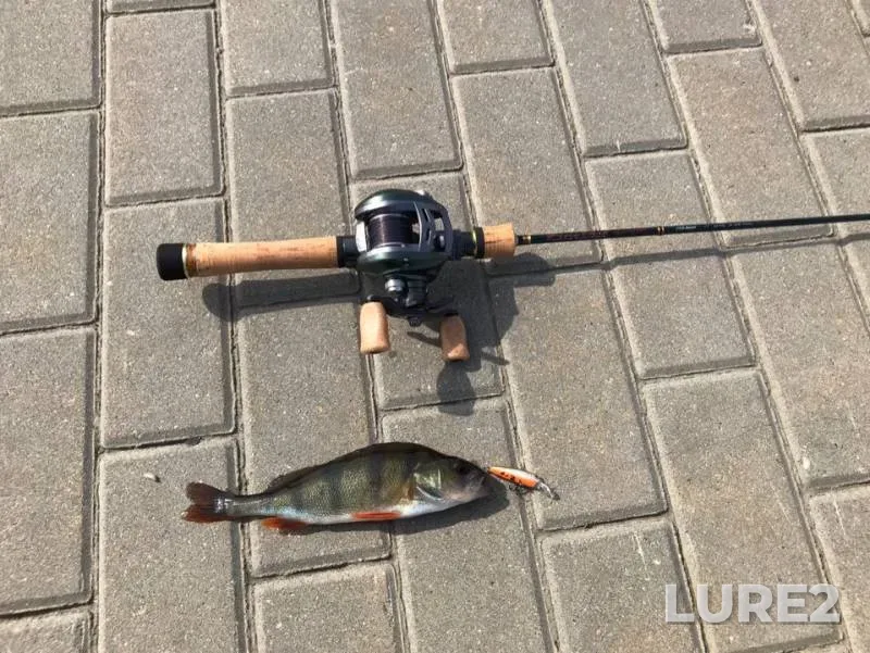 Perch — Moskva, May 15, 2019