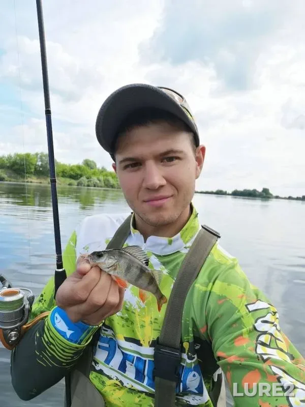 Perch — Oka, Jun 03, 2019