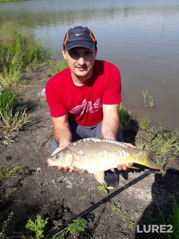 Carp — Stavropolskiy kray, May 21, 2018