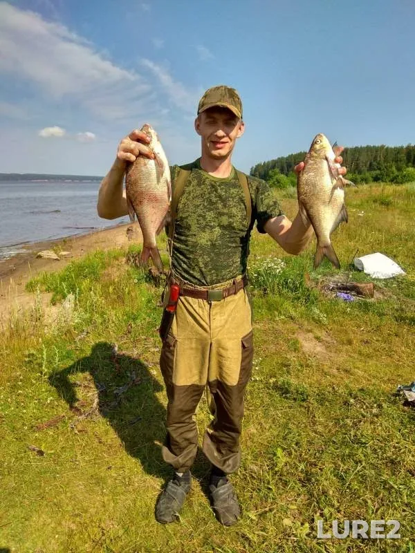 Bream, Wels catfish — Kama, Jul 20, 2017