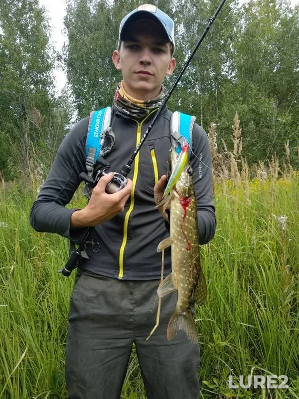 Pike — Moskovskaya oblast, gorodskoy okrug Voskresensk, Aug 13, 2018