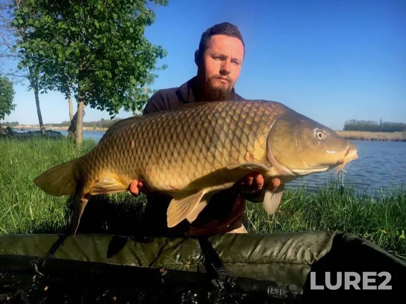 Carp — Krasnodarskiy kray, Korenovskiy rayon, Apr 29, 2018