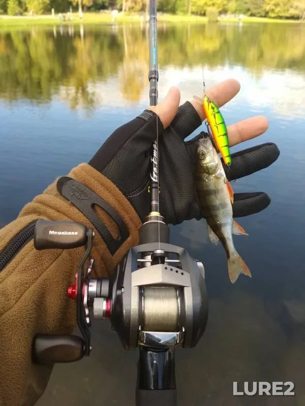 Perch — Churilikha, Sep 30, 2018