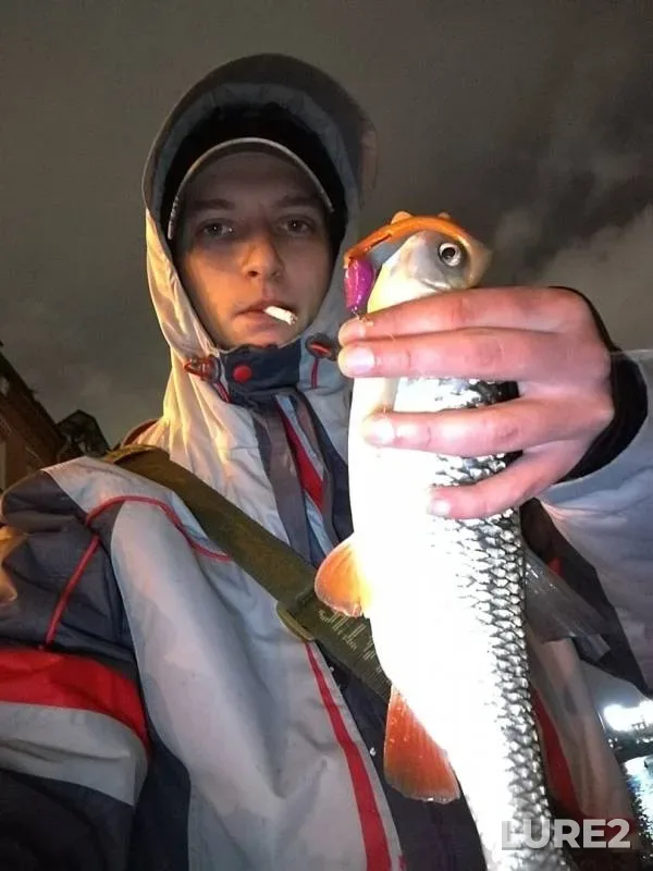 Chub, Perch — Moskva, Oct 14, 2017