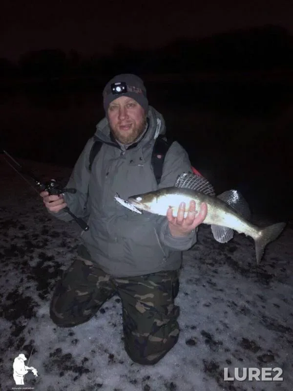 Zander — Moskva, Dec 03, 2017