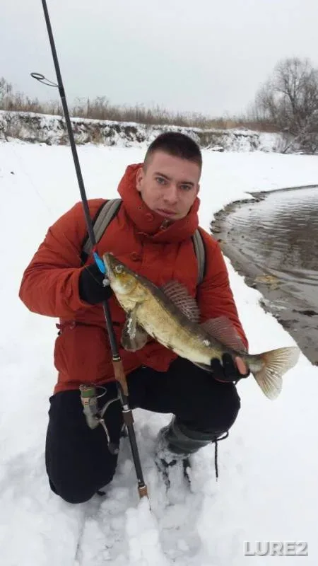 Perch, Zander — Moskva, Jan 23, 2018