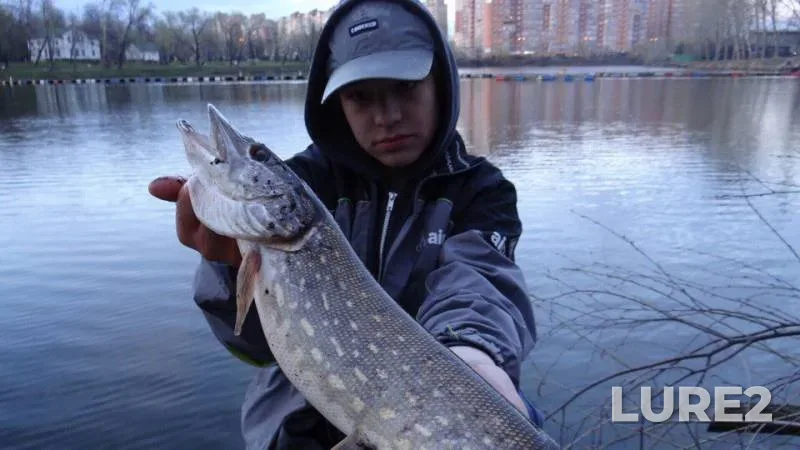 Pike — Belaya Dacha, Apr 23, 2018