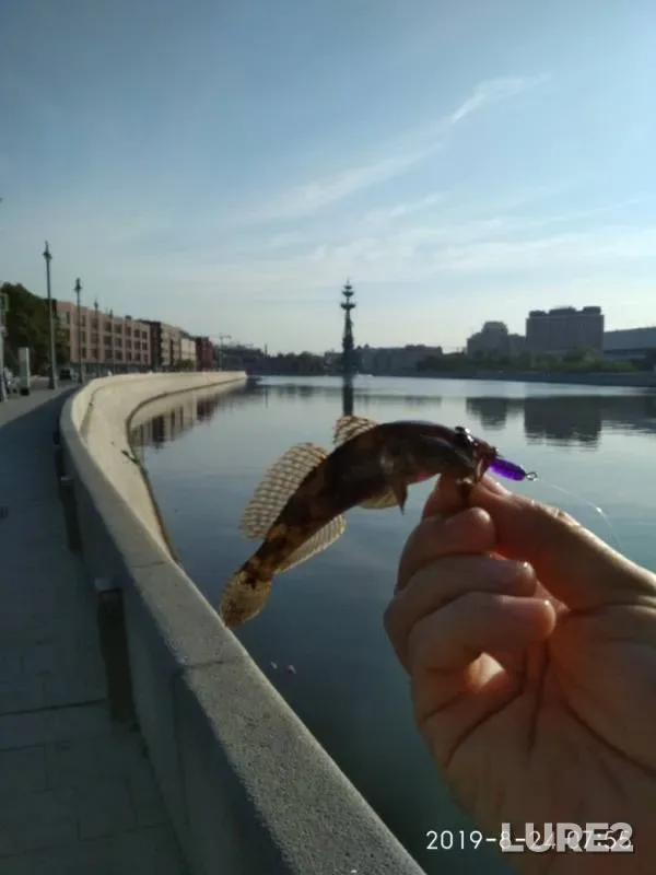 Perch — Moskva, Aug 26, 2019