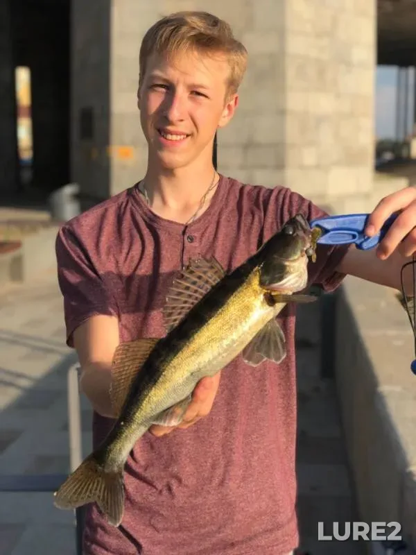 Perch, Zander — Moskva, Jun 10, 2019