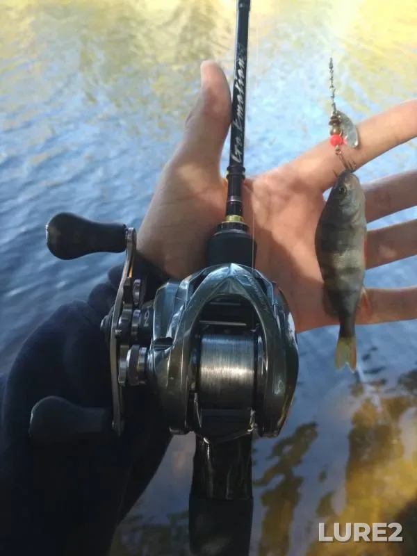 Perch — Churilikha, Sep 13, 2018