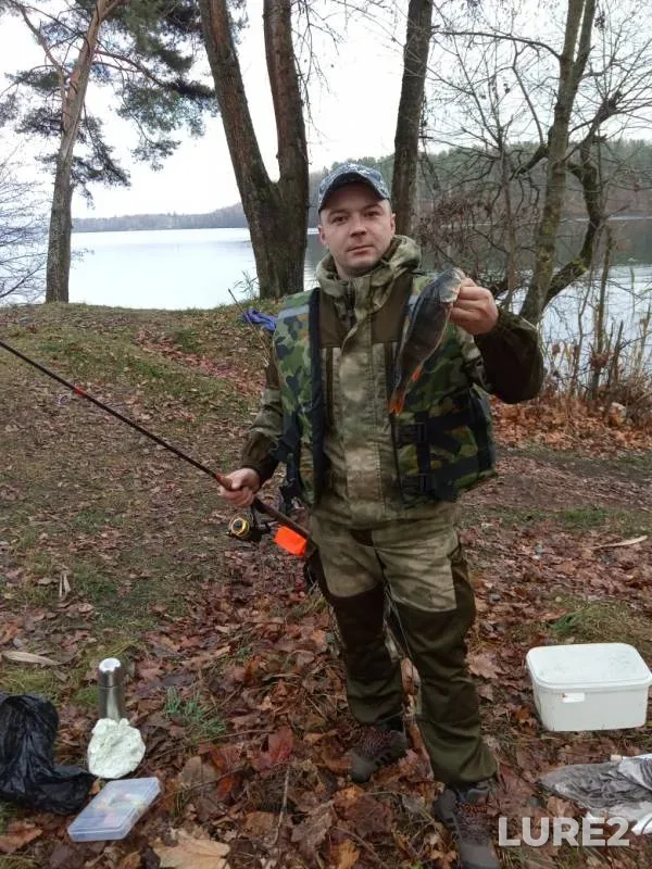 Perch — Svisloch, Nov 05, 2019