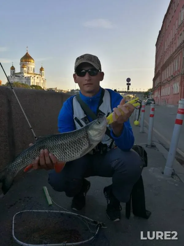 Chub — Moskva, Aug 10, 2017