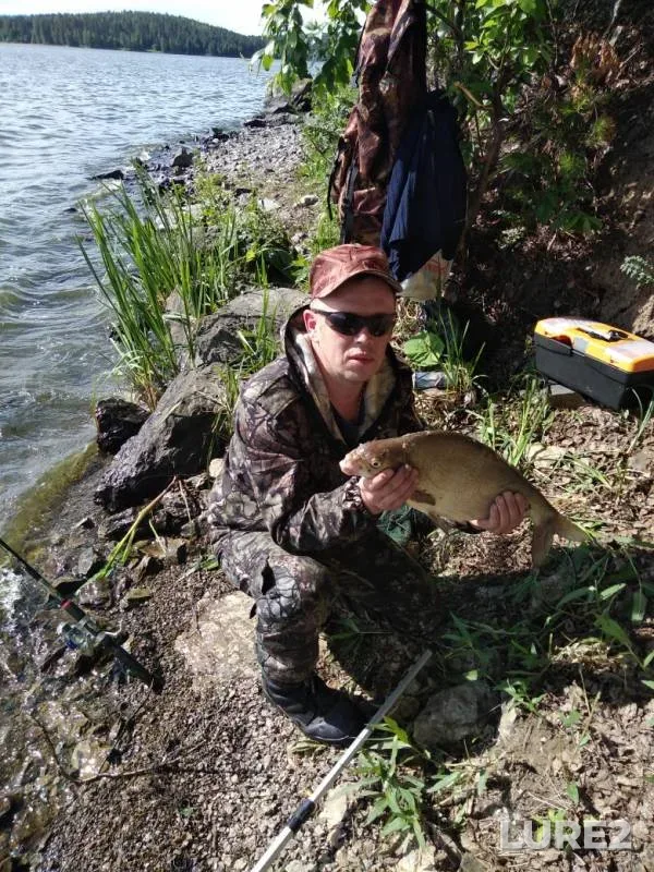 Bream — Volchikhinskoye, Jul 01, 2019