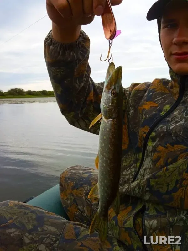 Pike — Dnepr, Aug 19, 2019