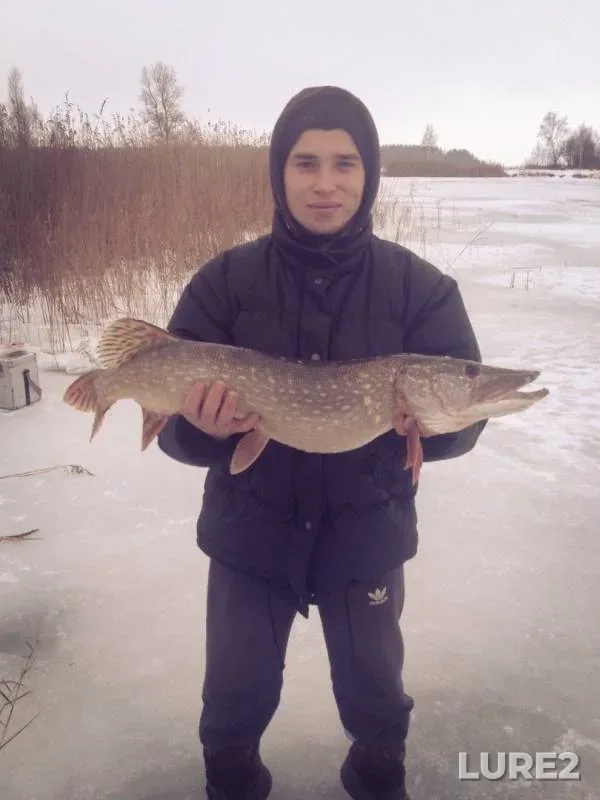Pike — Kiїvska oblast, Dec 29, 2018