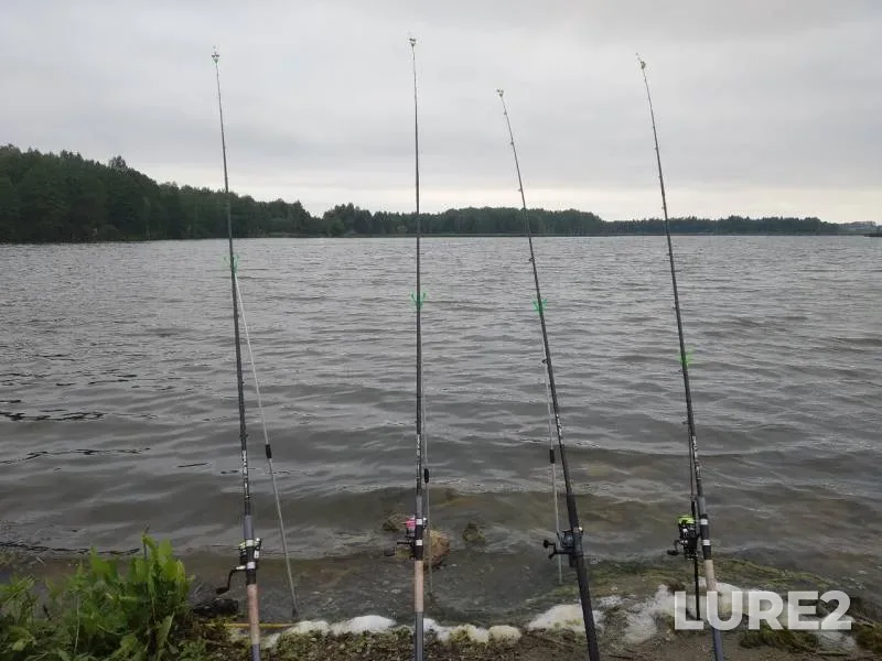 Crucian carp — Myshanka, Jun 22, 2019