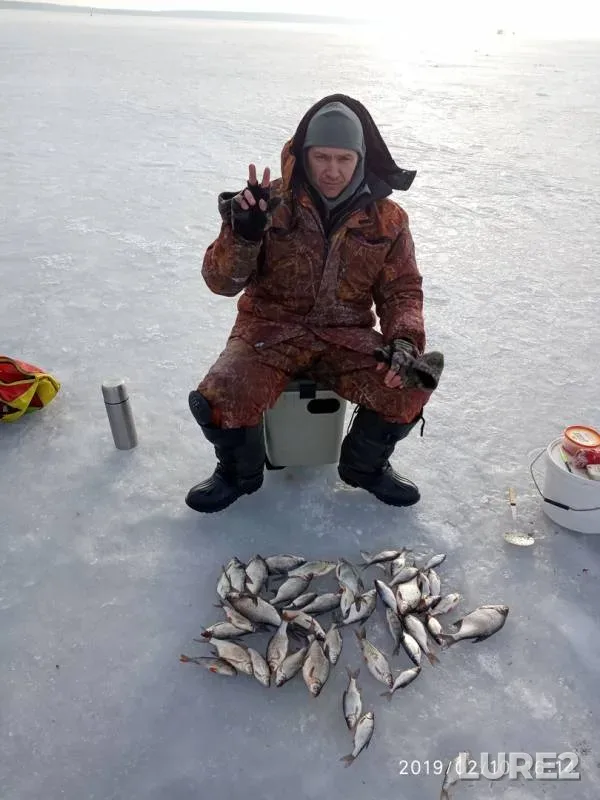 Bream, Roach — Kasutka, Feb 11, 2019