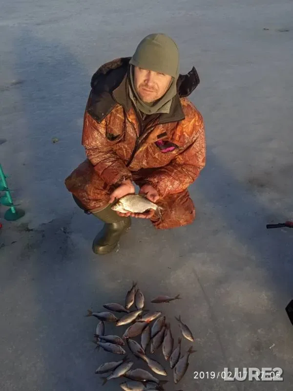 Bream, Roach — Kasutka, Feb 17, 2019
