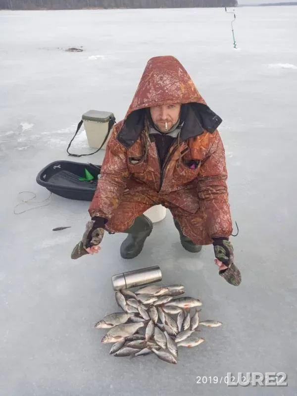 Bream, Perch — Kasutka, Feb 24, 2019
