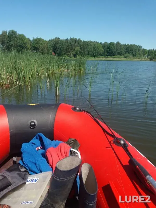 Perch — Zaslavka, May 31, 2019