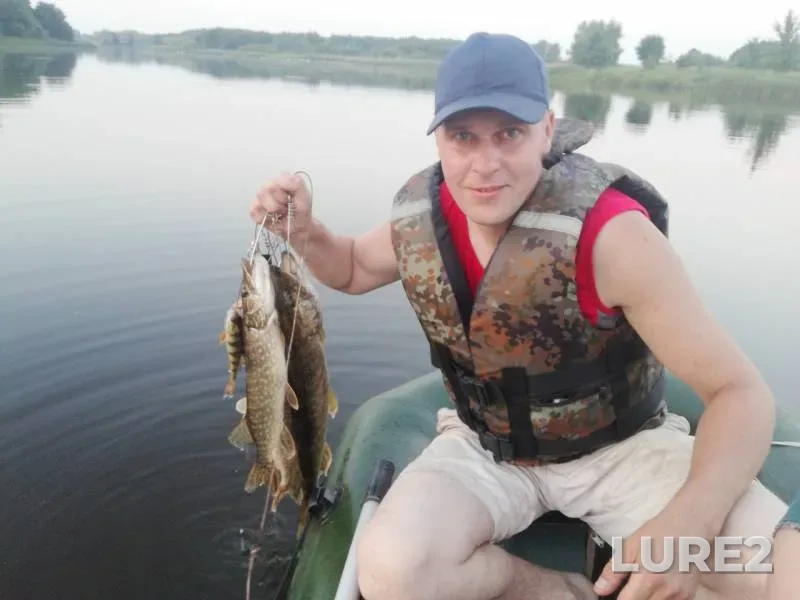 Perch, Pike — Dikiy, Jun 11, 2019