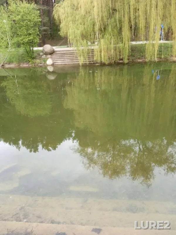 Perch — Tsnyanskoye, May 10, 2019