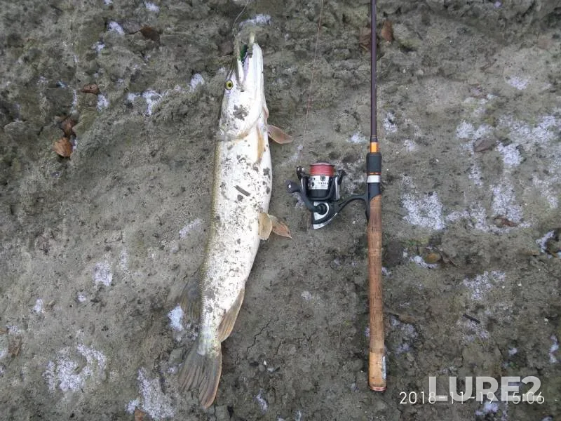 Pike — Markovshchina, Nov 20, 2018
