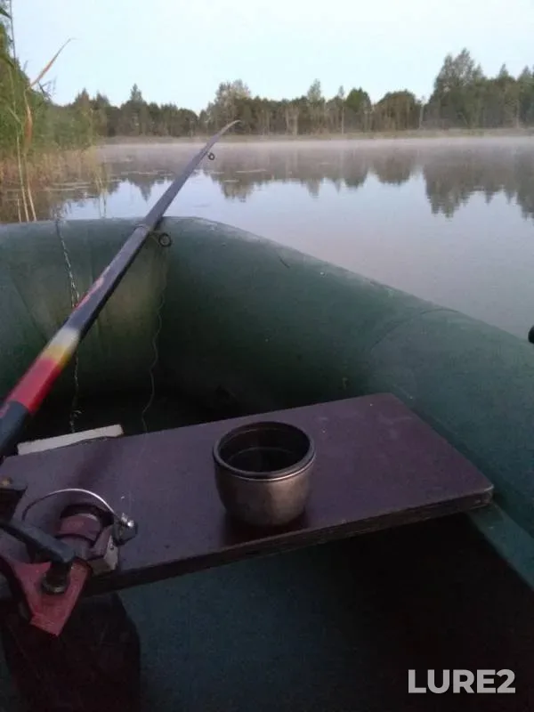Crucian carp — Devichye, Aug 09, 2018