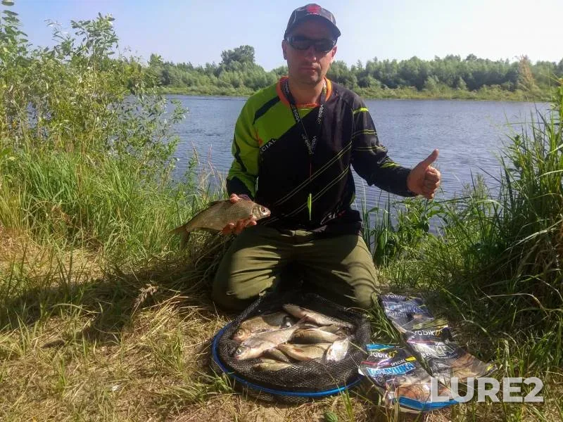 Bream — Bobrik, Jul 01, 2019