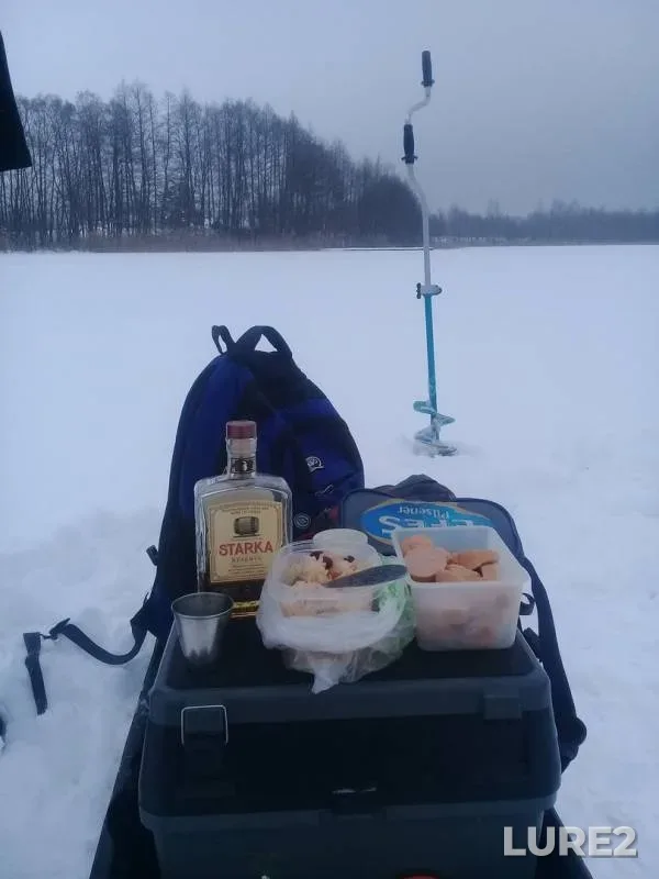 Pike — Pyshno, Jan 24, 2019