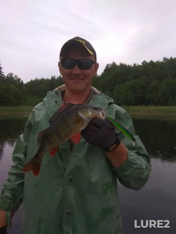 Perch, Pike — Rybanets, Jun 16, 2019