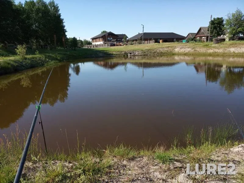 Crucian carp, Tench — Lva, Jun 02, 2019