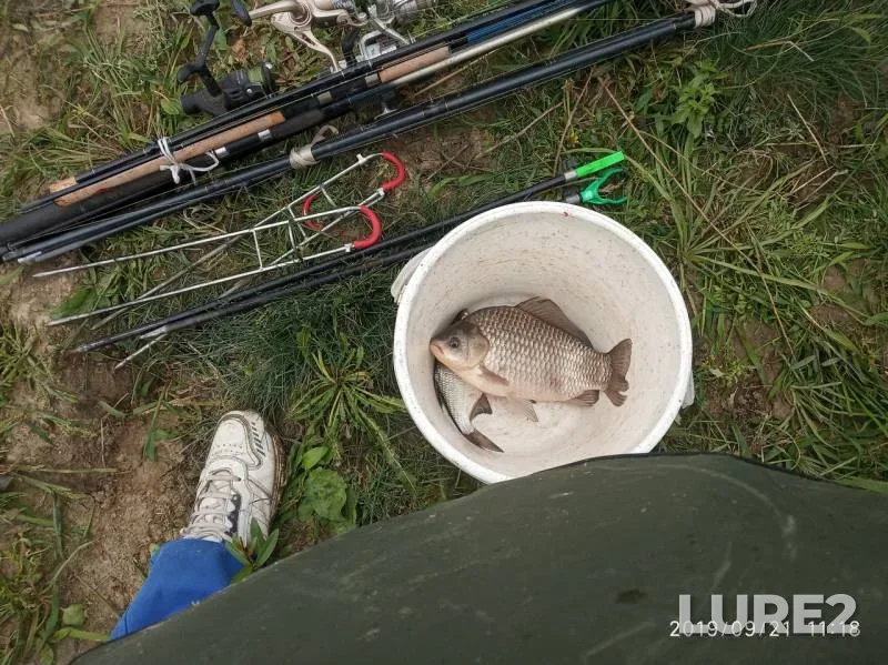 Bream, Crucian carp — Kopanets, Sep 21, 2019