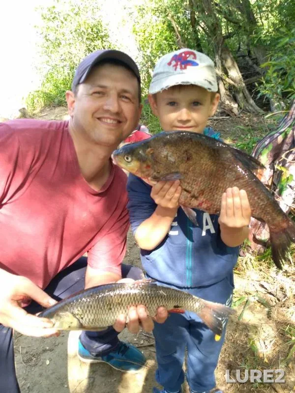 Bream, Chub — Neman, May 13, 2018