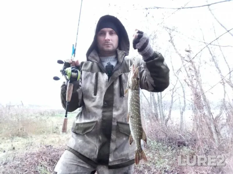 Pike — Troshcha, Nov 06, 2019