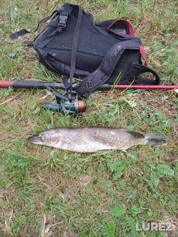 Pike — Skripitsa, May 19, 2019