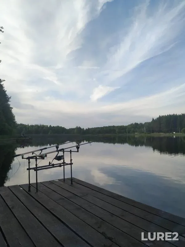 Carp, Tench — Korgovitsa, Jun 27, 2019